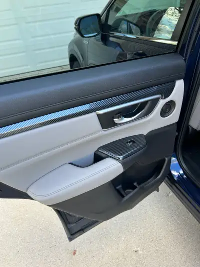 Interior detail — door panel